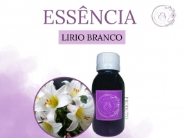 Essência Lirio Branco